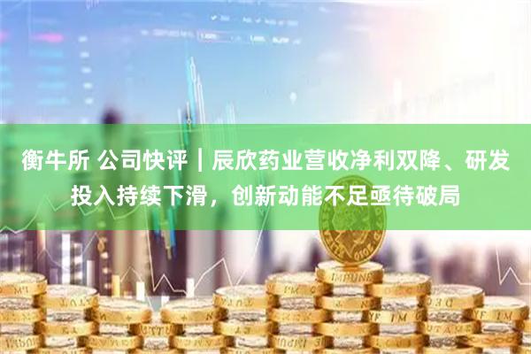 衡牛所 公司快评︱辰欣药业营收净利双降、研发投入持续下滑，创新动能不足亟待破局
