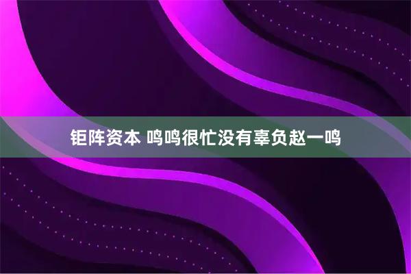 钜阵资本 鸣鸣很忙没有辜负赵一鸣