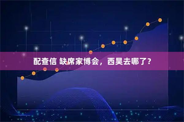 配查信 缺席家博会，西昊去哪了？